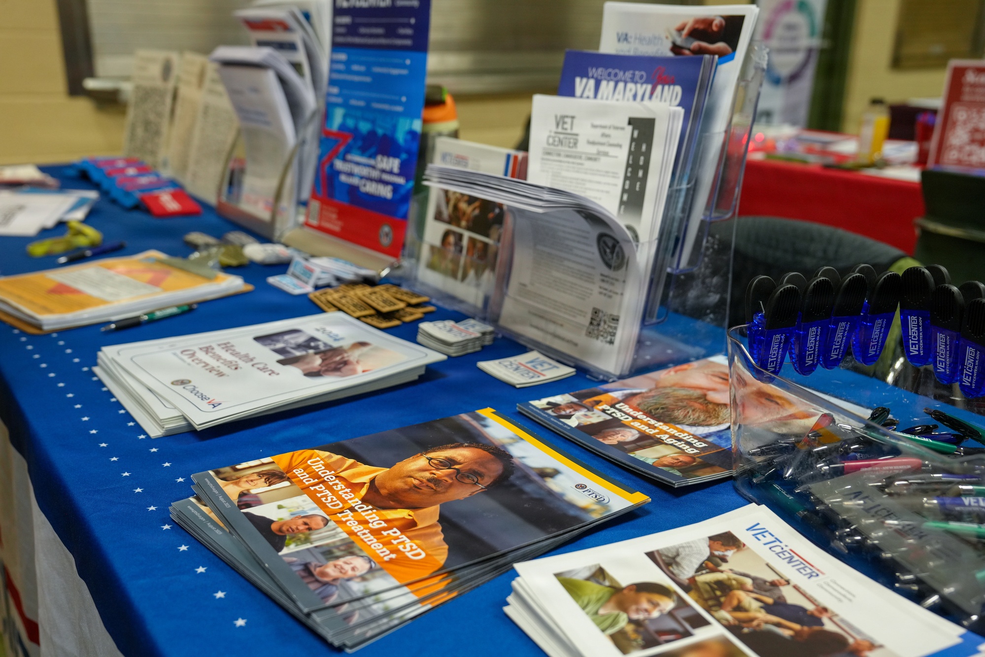 Bridge for Veterans support image